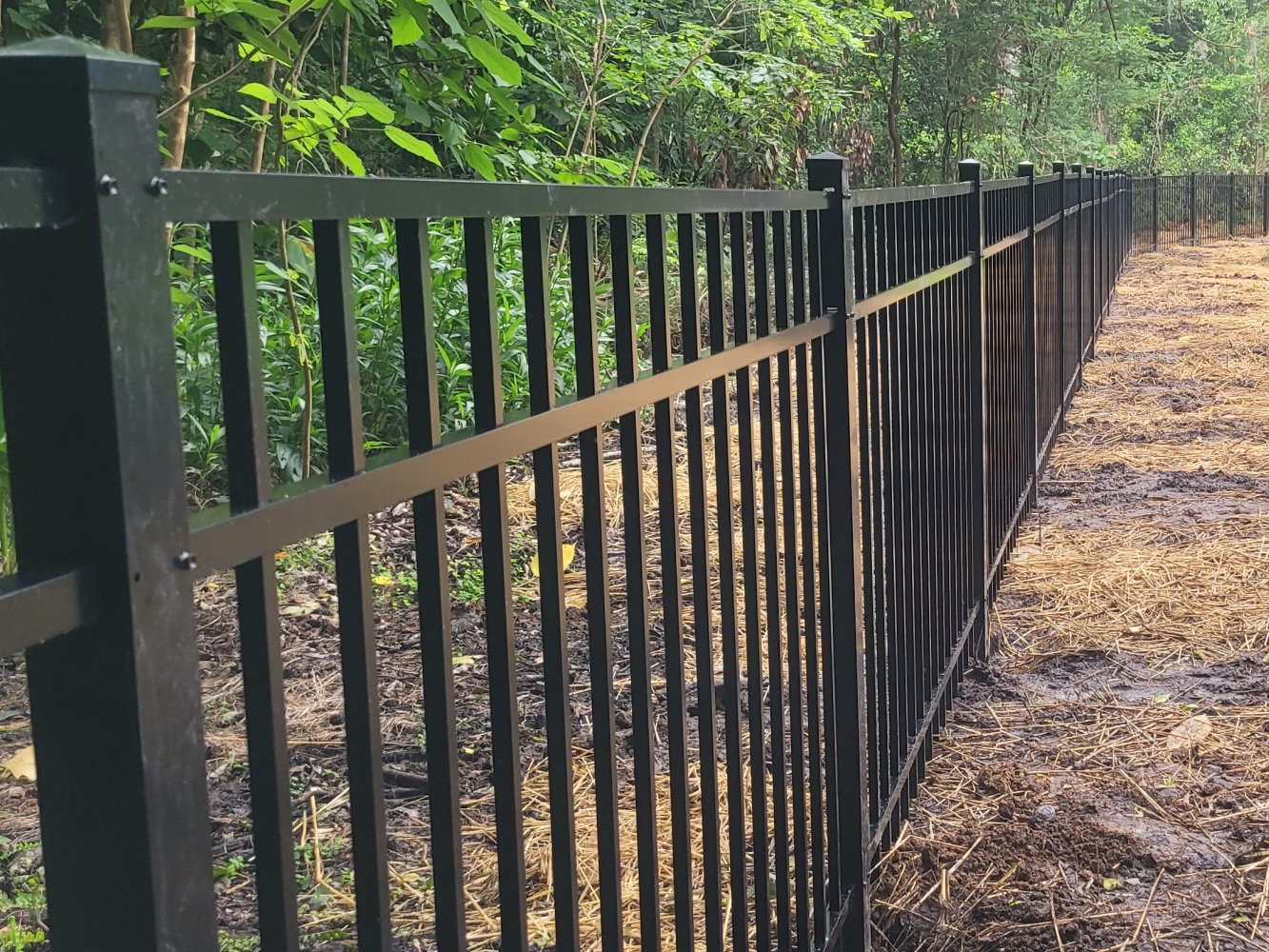 Silver Springs Florida Fence Project Photo