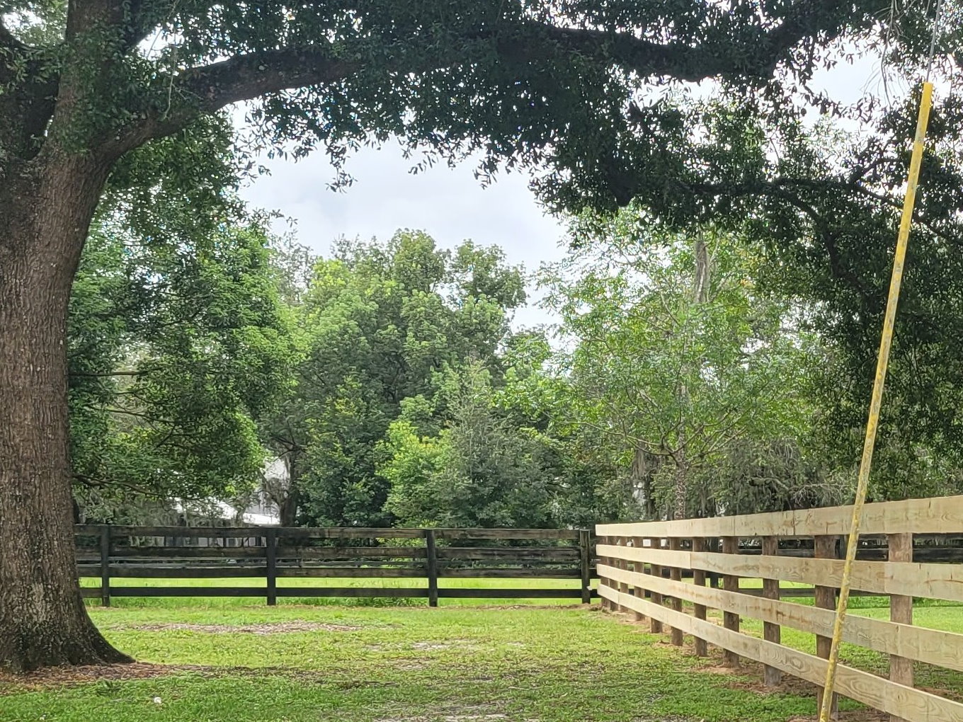 Summerfield Florida Fence Project Photo