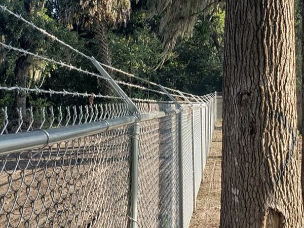 Photo of a Ocala Florida chain link fence