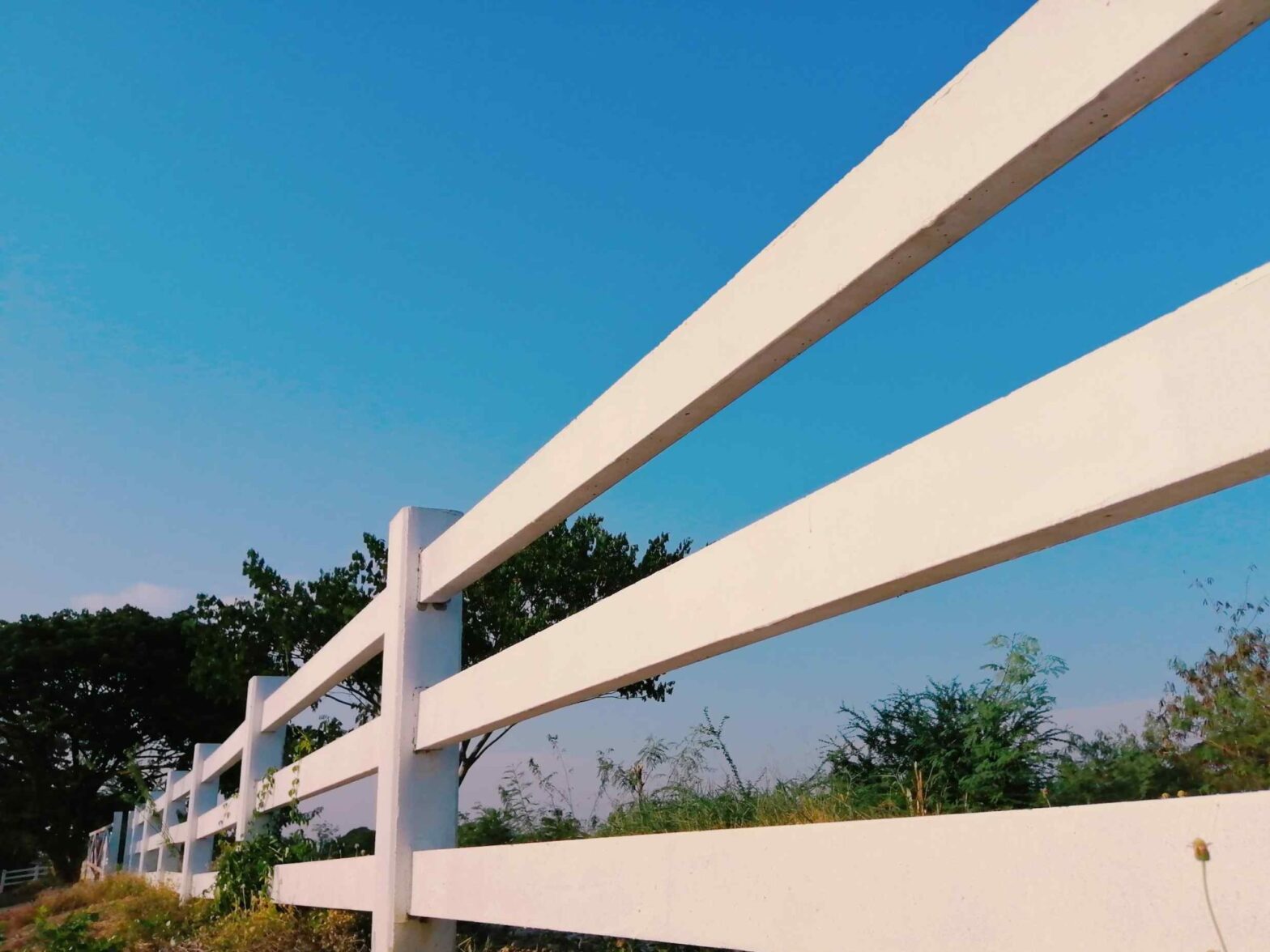 Photo of a Ocala Florida ranch fence
