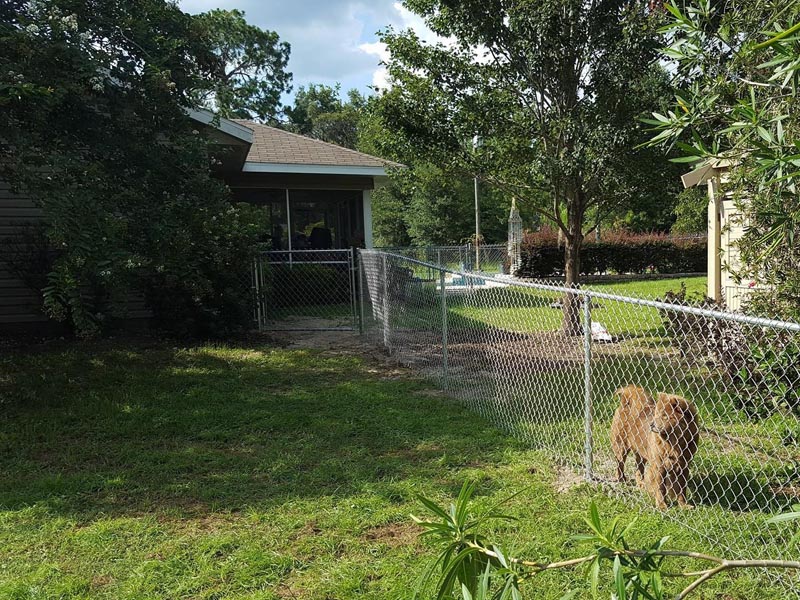Chain Link Fence Project | Ocala Florida Fence Company